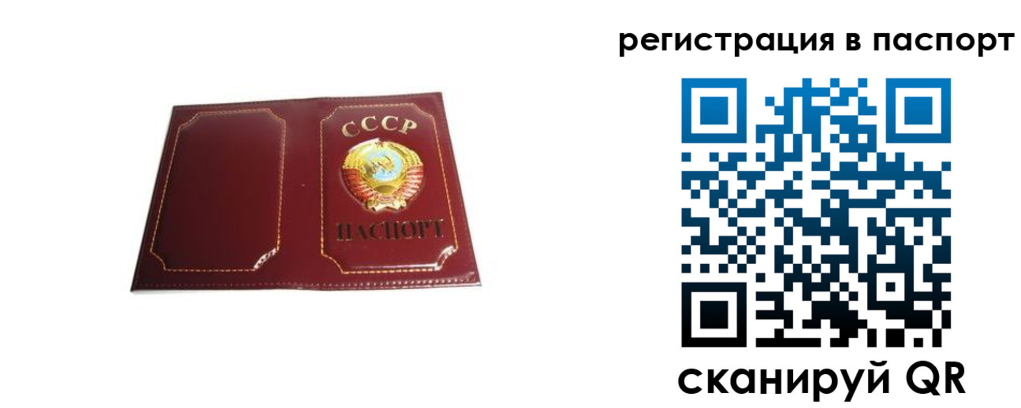 прописка 2025 в Талдоме